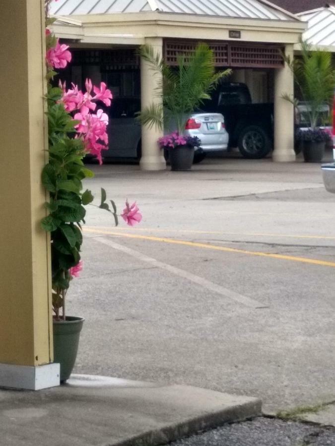 Southern Comfort Suites Mayfield Bagian luar foto
